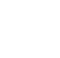 logo light